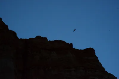 DSC_0281 (Large).JPG